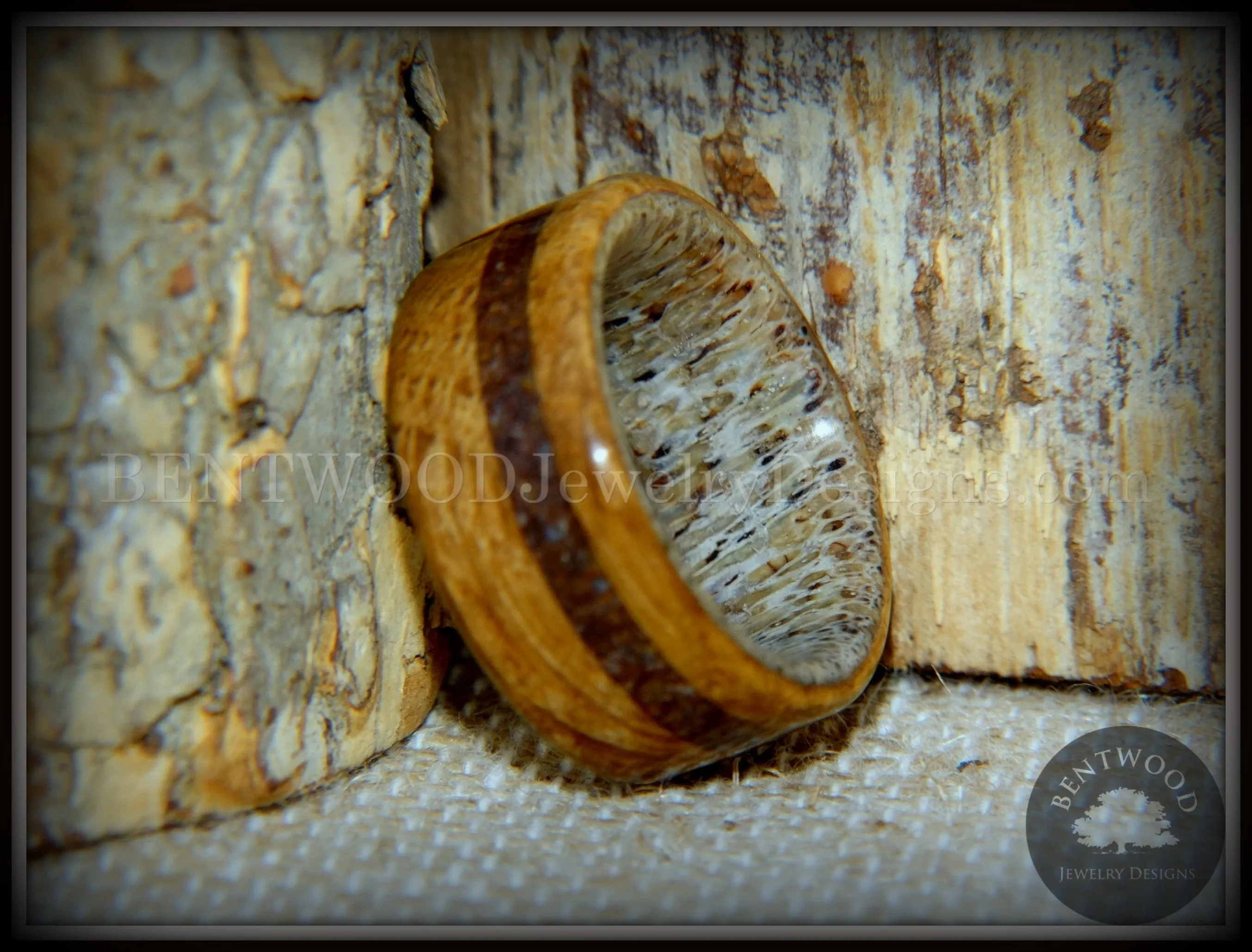 Bentwood Ring - Dino Hunter Whiskey Oak Barrel Oak, Deer Antler and Dinosaur Fossil